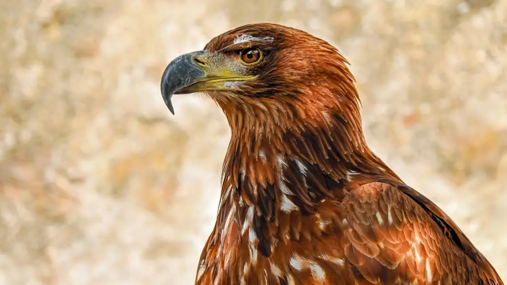 活用術2:営業活動で記憶に残る印象を作る